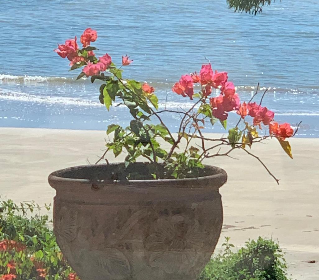 Beachfront Peace Cabin Oak Beach Bagian luar foto