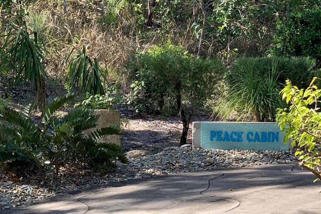 Beachfront Peace Cabin Oak Beach Bagian luar foto